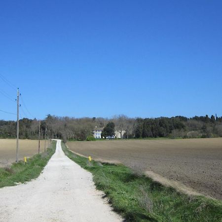 Chambres D'Hotes Domaine Saint-Joly Lasbordes Zewnętrze zdjęcie