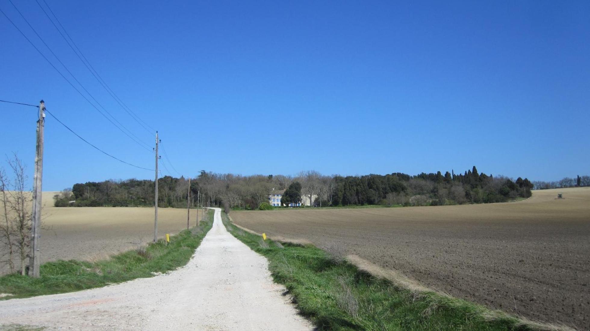 Chambres D'Hotes Domaine Saint-Joly Lasbordes Zewnętrze zdjęcie