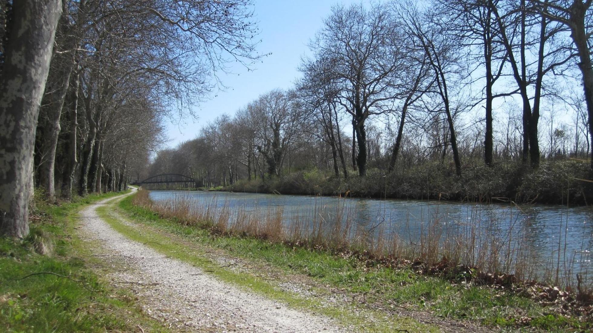 Chambres D'Hotes Domaine Saint-Joly Lasbordes Zewnętrze zdjęcie